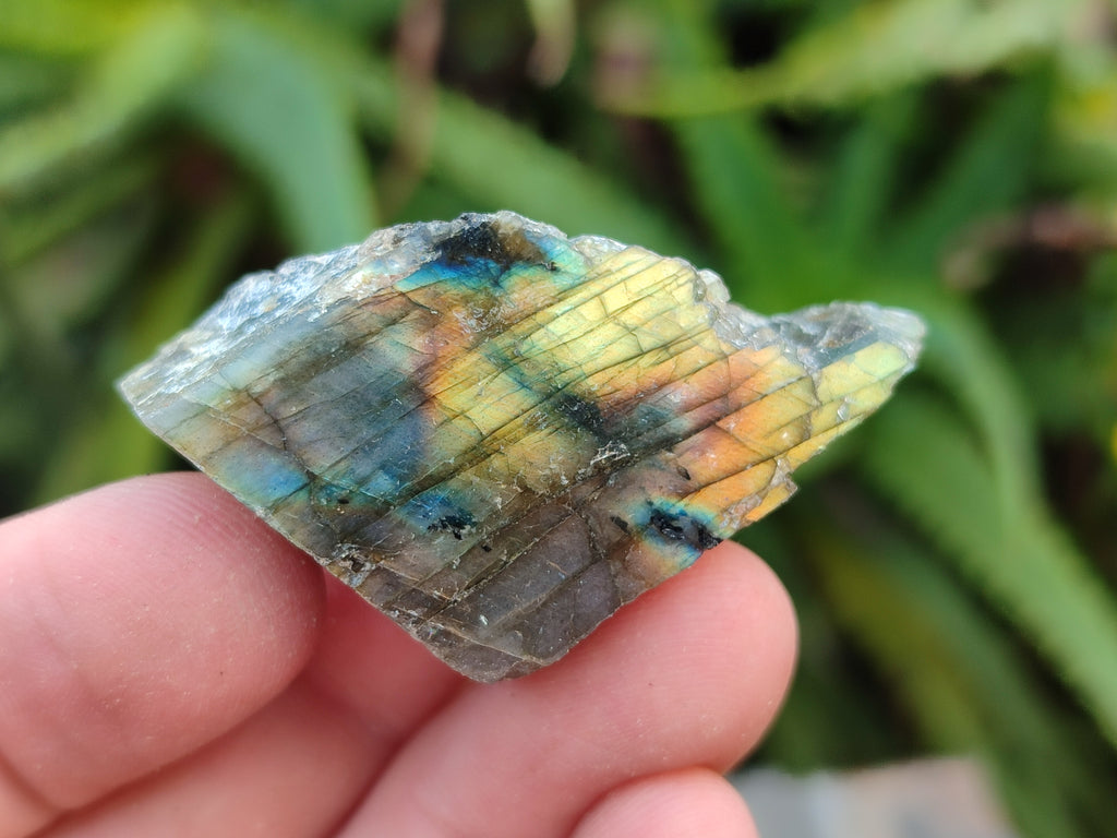 Polished On One Side Small Labradorite Plates x 70 From Tulear, Madagascar - Toprock Gemstones and Minerals 