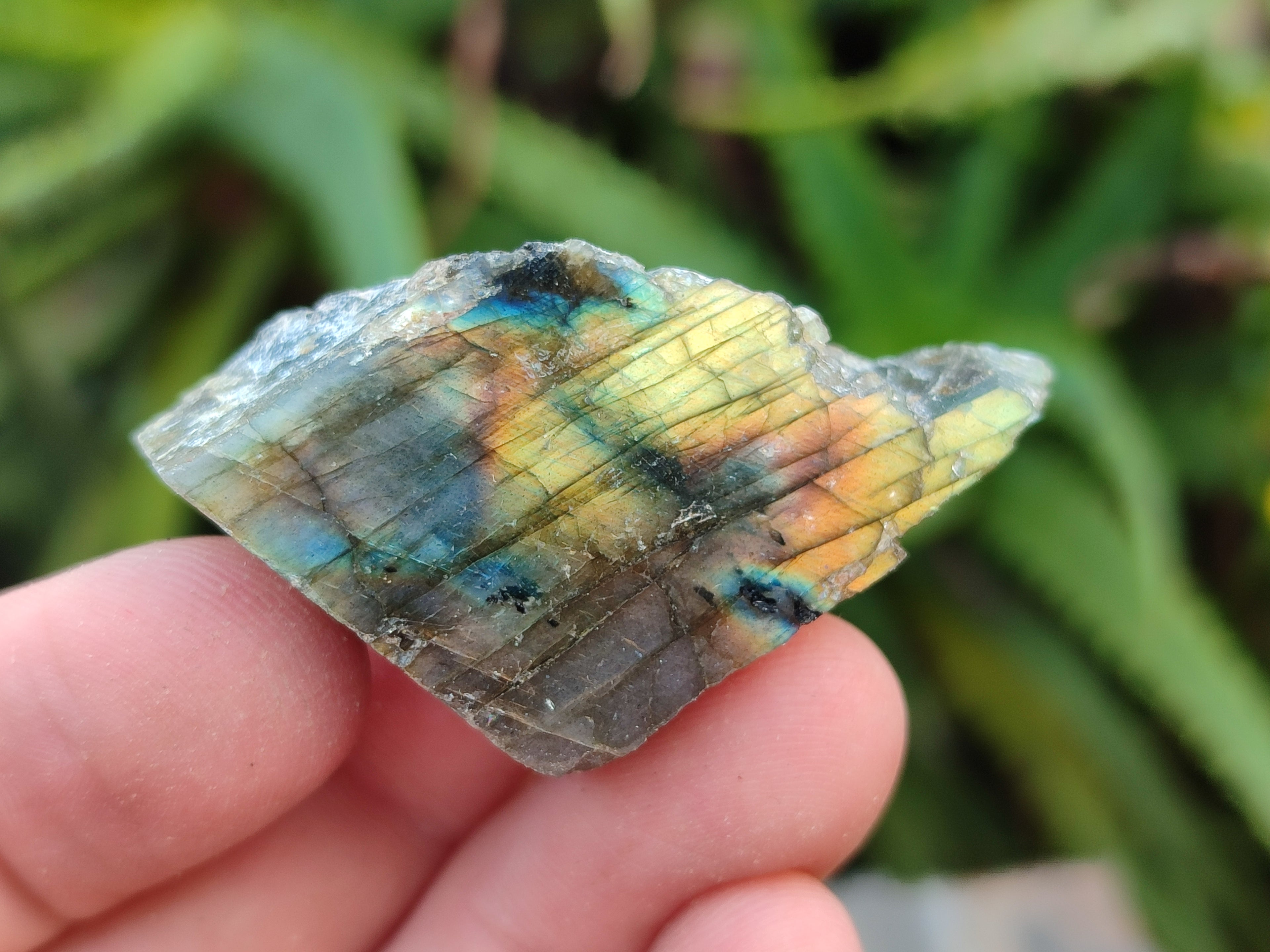 Polished On One Side Small Labradorite Plates x 70 From Tulear, Madagascar - Toprock Gemstones and Minerals 