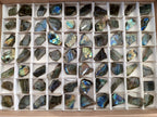 Polished On One Side Small Labradorite Plates x 70 From Tulear, Madagascar - Toprock Gemstones and Minerals 