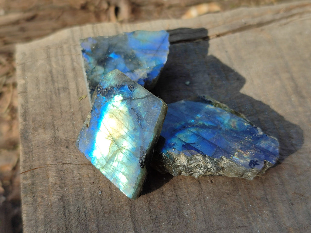 Polished On One Side Small Labradorite Plates x 70 From Tulear, Madagascar - Toprock Gemstones and Minerals 
