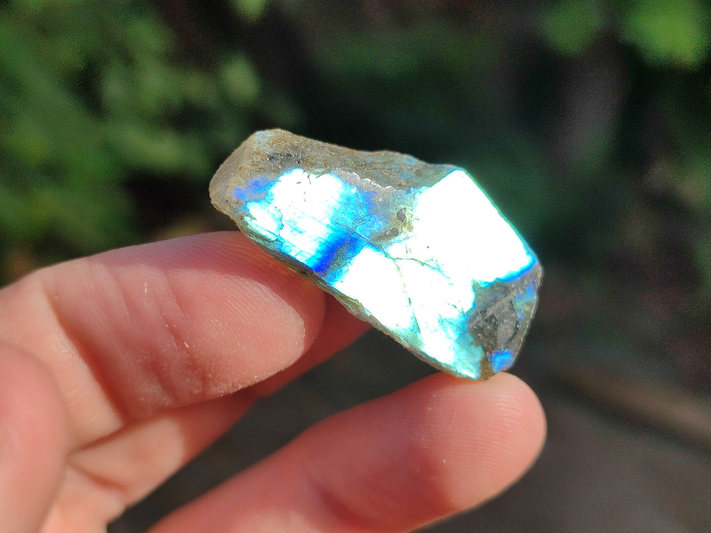 Polished On One Side Small Labradorite Plates x 70 From Tulear, Madagascar - Toprock Gemstones and Minerals 