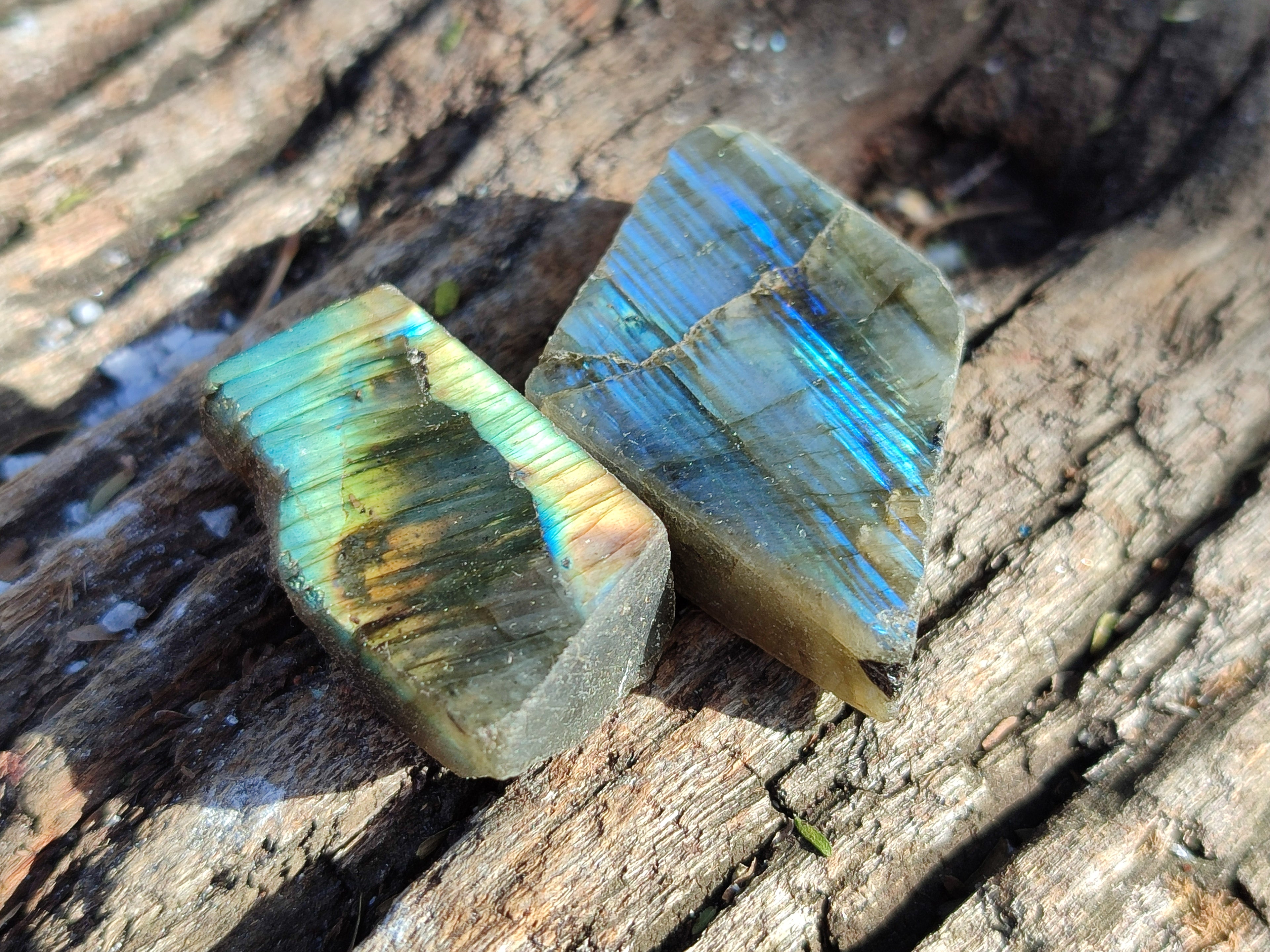 Polished On One Side Small Labradorite Plates x 70 From Tulear, Madagascar - Toprock Gemstones and Minerals 
