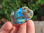 Polished On One Side Small Labradorite Plates x 70 From Tulear, Madagascar - Toprock Gemstones and Minerals 