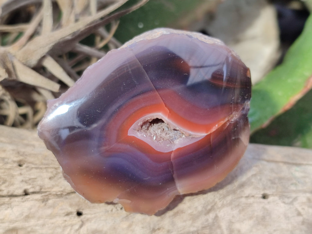 Polished On One Side Red Sashe River Agate Nodules x 12 From Zimbabwe - Toprock Gemstones and Minerals 