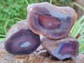 Polished On One Side Red Sashe River Agate Nodules x 12 From Zimbabwe - Toprock Gemstones and Minerals 