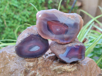 Polished On One Side Red Sashe River Agate Nodules x 12 From Zimbabwe - Toprock Gemstones and Minerals 
