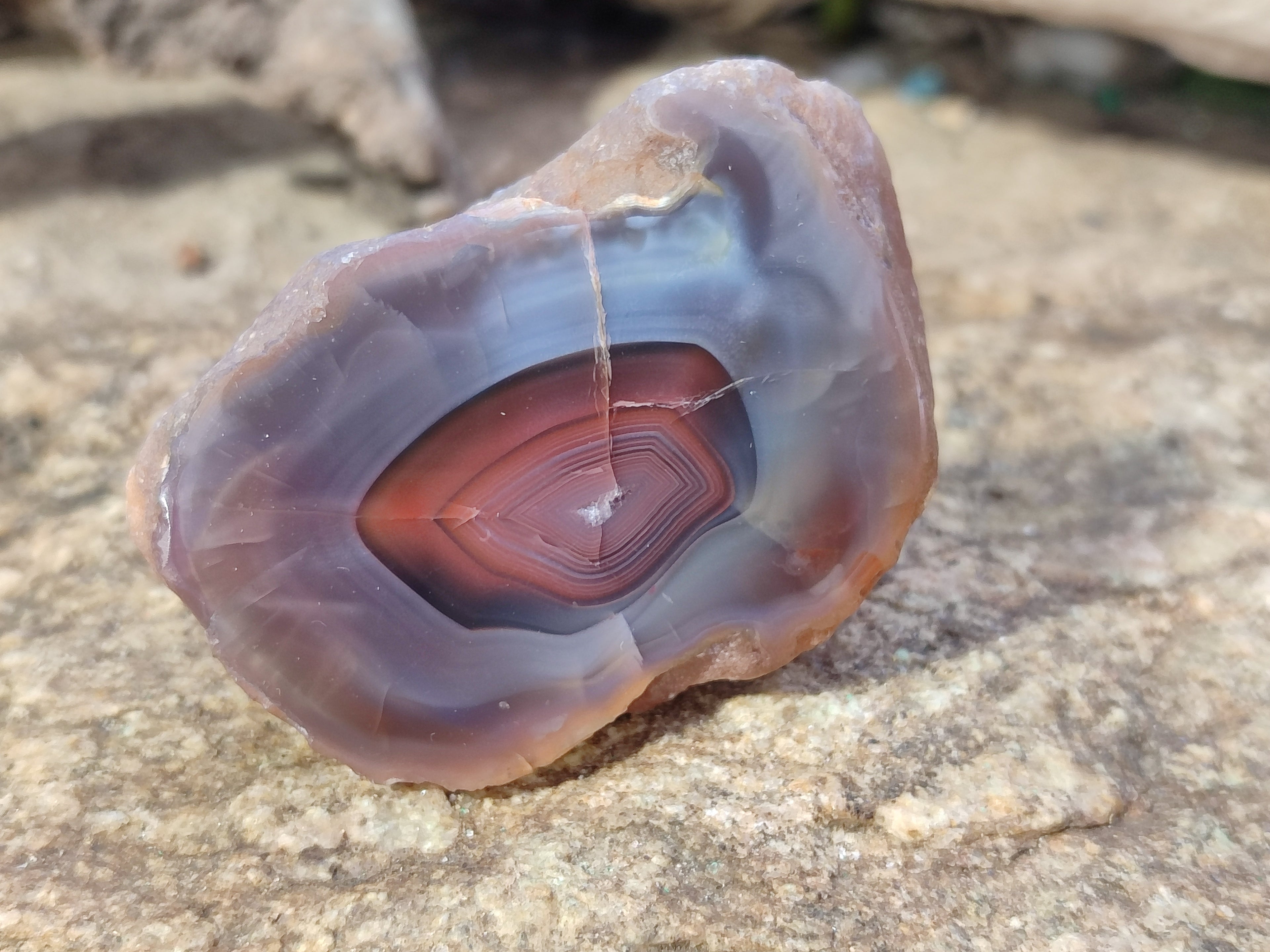 Polished On One Side Red Sashe River Agate Nodules x 12 From Zimbabwe - Toprock Gemstones and Minerals 