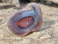 Polished On One Side Red Sashe River Agate Nodules x 12 From Zimbabwe - Toprock Gemstones and Minerals 