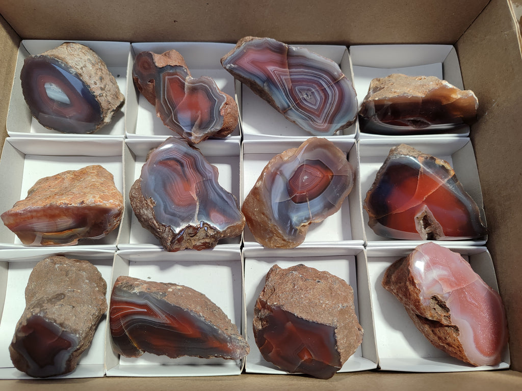 Polished On One Side Red Sashe River Agate Nodules x 12 From Zimbabwe - Toprock Gemstones and Minerals 