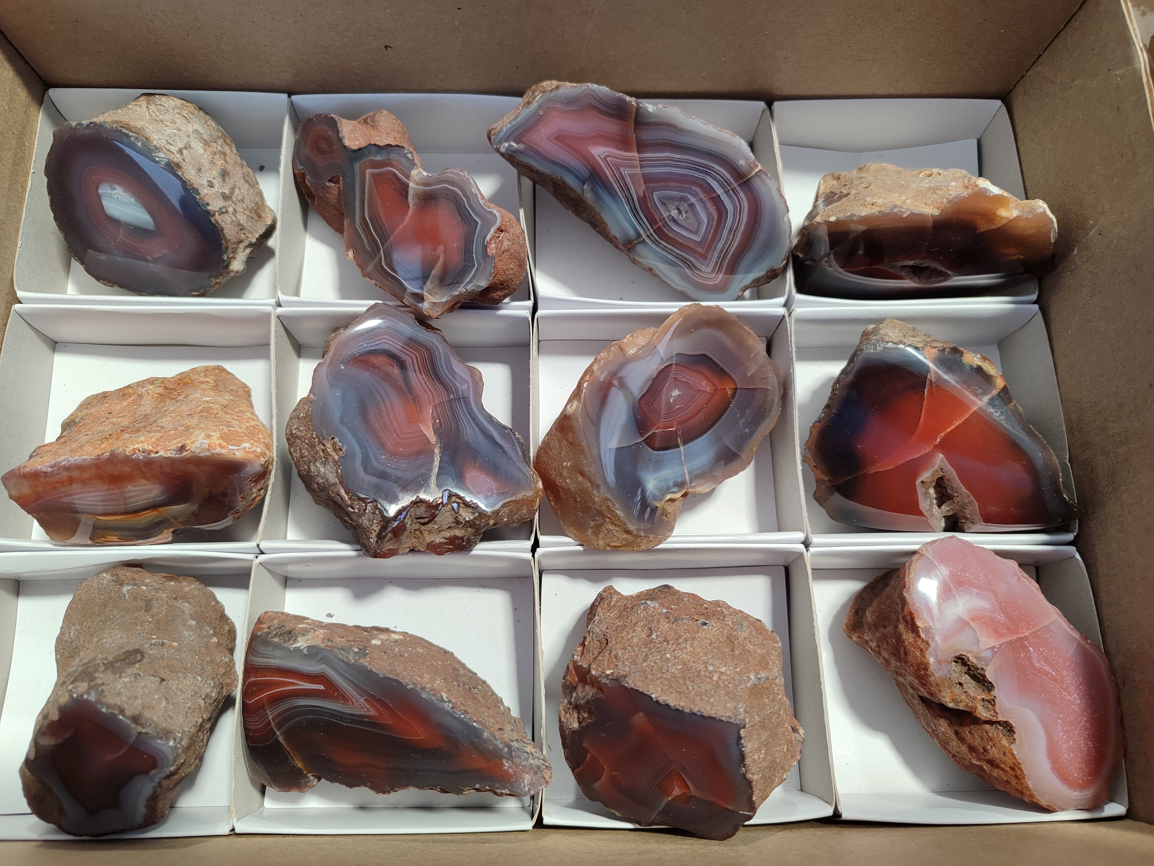 Polished On One Side Red Sashe River Agate Nodules x 12 From Zimbabwe - Toprock Gemstones and Minerals 