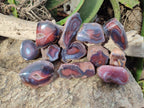 Polished On One Side Red Sashe River Agate Nodules x 12 From Zimbabwe - Toprock Gemstones and Minerals 