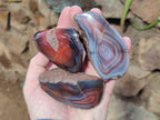 Polished On One Side Red Sashe River Agate Nodules x 12 From Zimbabwe - Toprock Gemstones and Minerals 