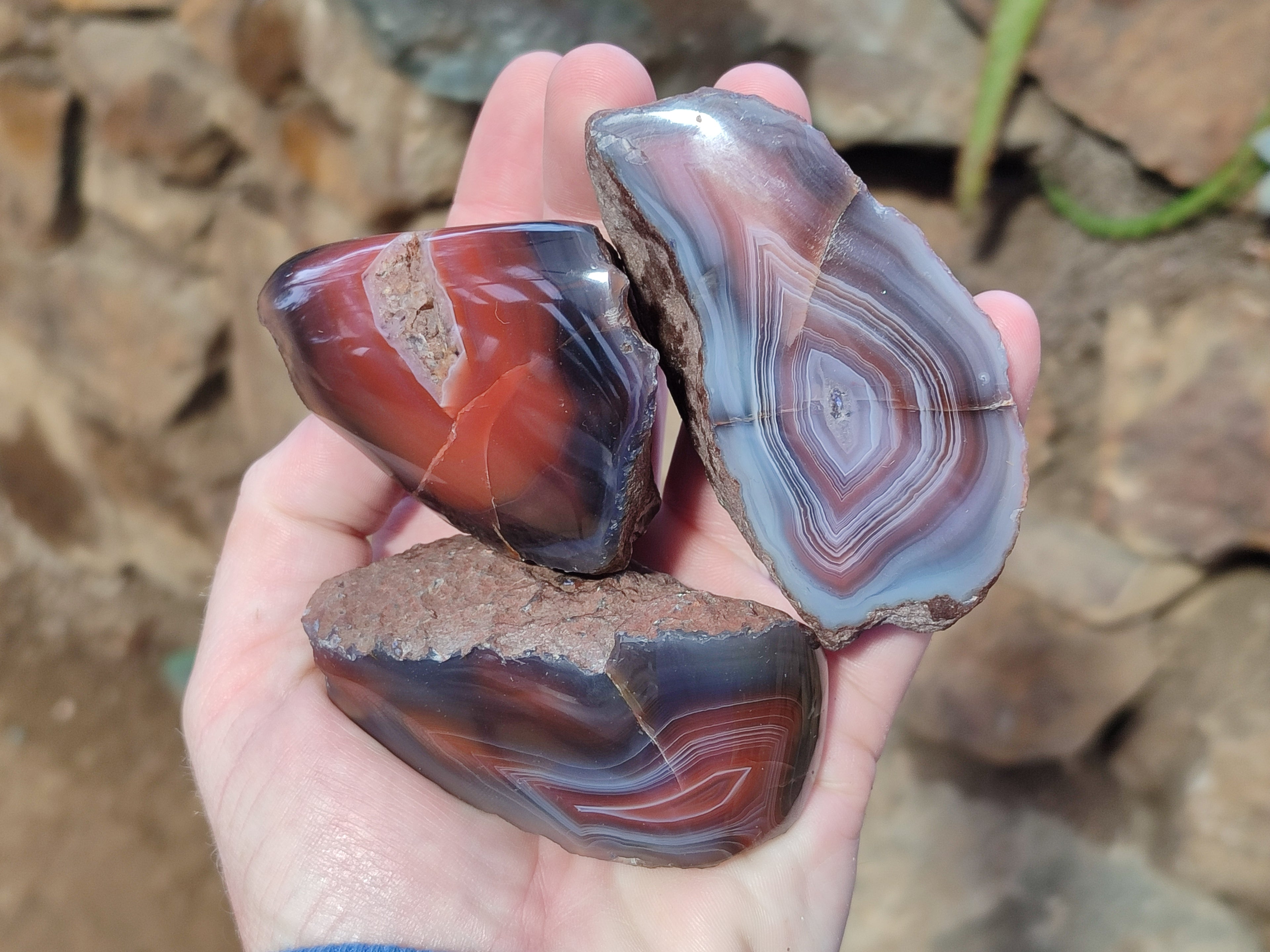 Polished On One Side Red Sashe River Agate Nodules x 12 From Zimbabwe - Toprock Gemstones and Minerals 