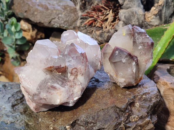 Natural Red Hematoid Quartz Clusters x 2 From Karoi, Zimbabwe
