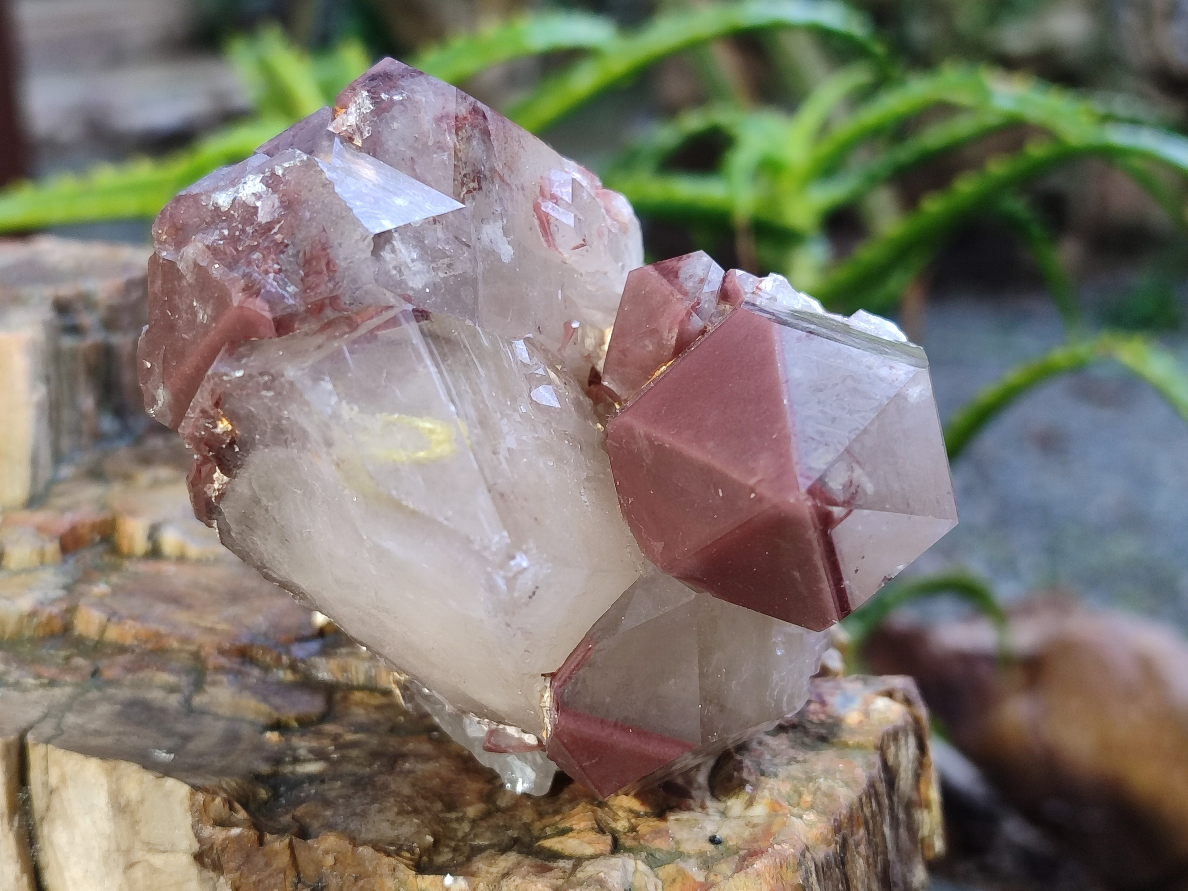 Natural Red Hematoid Quartz Clusters x 2 From Karoi, Zimbabwe - Toprock Gemstones and Minerals 