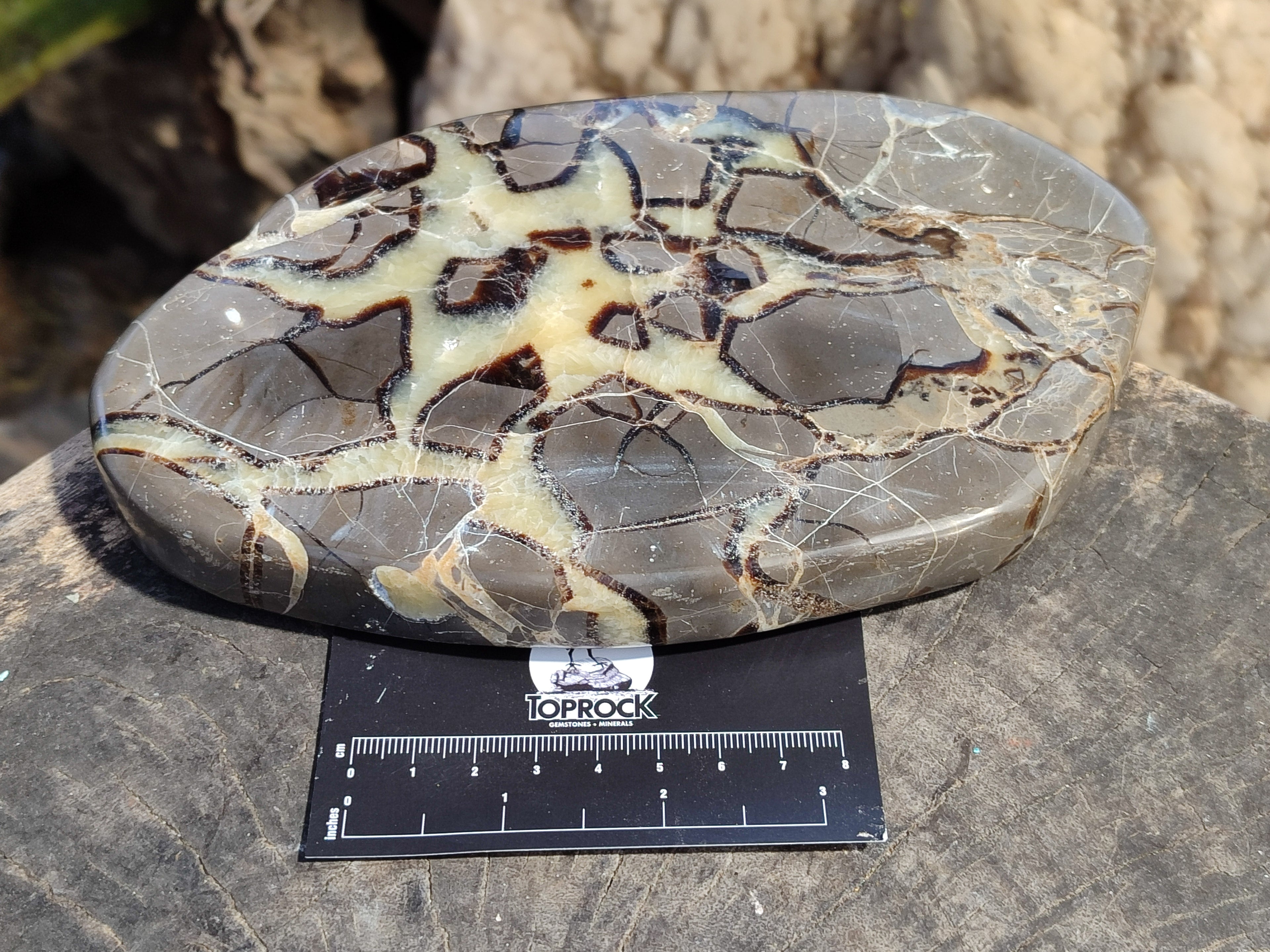 Polished Septerye Slices x 4 From Mahajanga, Madagascar - Toprock Gemstones and Minerals 