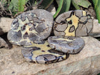 Polished Septerye Slices x 4 From Mahajanga, Madagascar - Toprock Gemstones and Minerals 