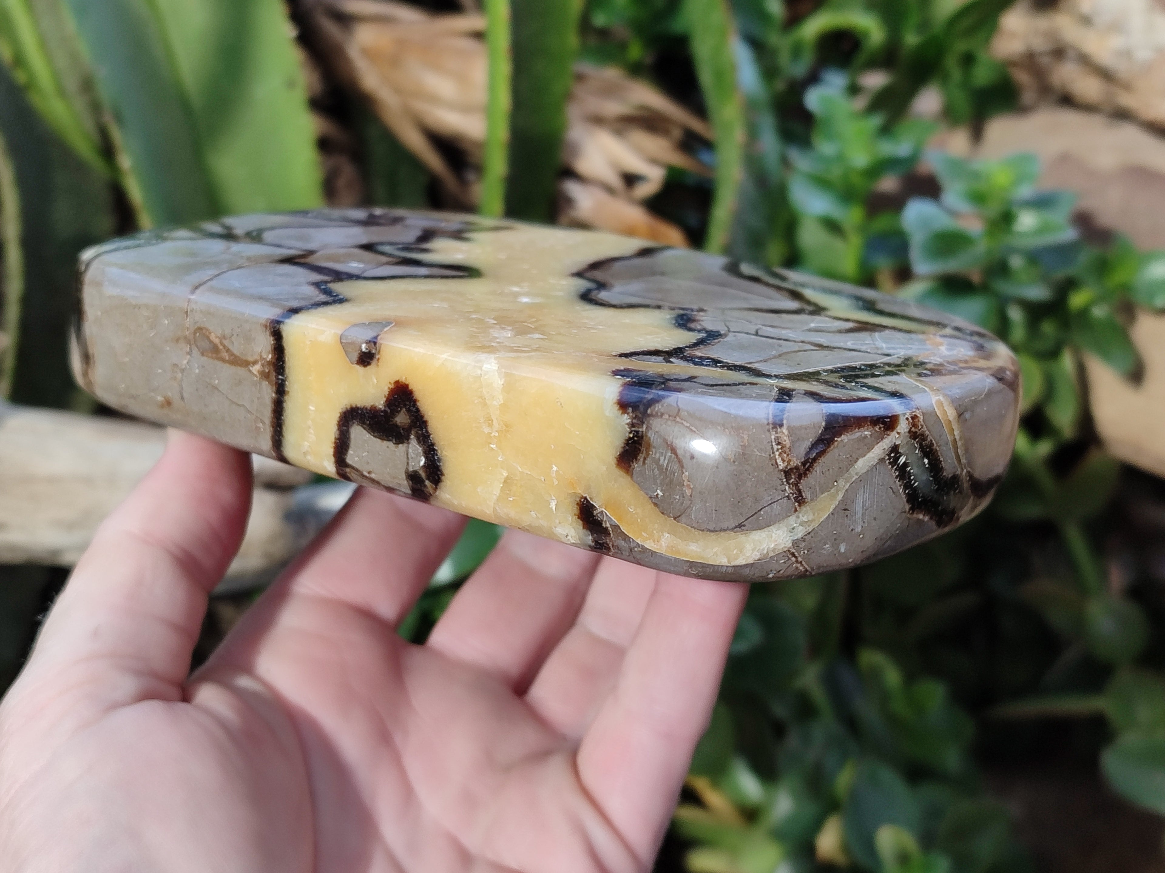 Polished Septerye Slices x 4 From Mahajanga, Madagascar - Toprock Gemstones and Minerals 