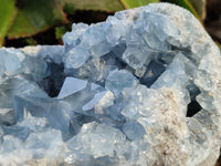 Natural Celestite Geode Specimens x 1 From Sakoany, Madagascar - Toprock Gemstones and Minerals 