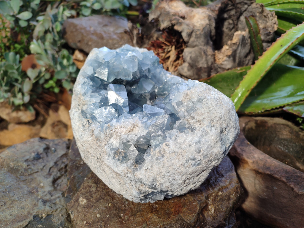Natural Celestite Geode Specimens x 1 From Sakoany, Madagascar - Toprock Gemstones and Minerals 