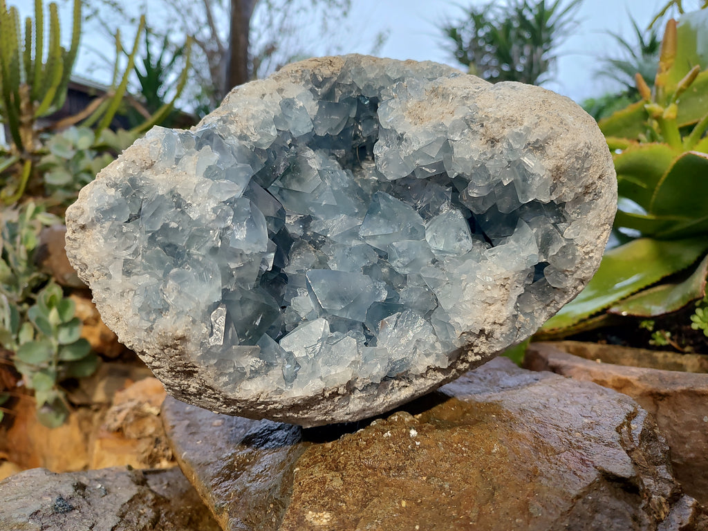 Natural Celestite Geode Specimens x 1 From Sakoany, Madagascar - Toprock Gemstones and Minerals 