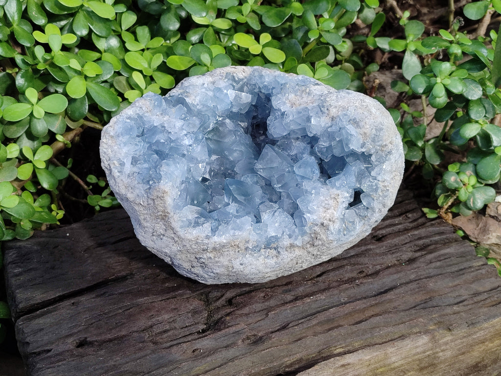 Natural Celestite Geode Specimens x 1 From Sakoany, Madagascar - Toprock Gemstones and Minerals 