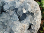 Natural Celestite Geode Specimens x 1 From Sakoany, Madagascar - Toprock Gemstones and Minerals 
