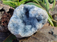 Natural Celestite Geode Specimens x 1 From Sakoany, Madagascar - Toprock Gemstones and Minerals 