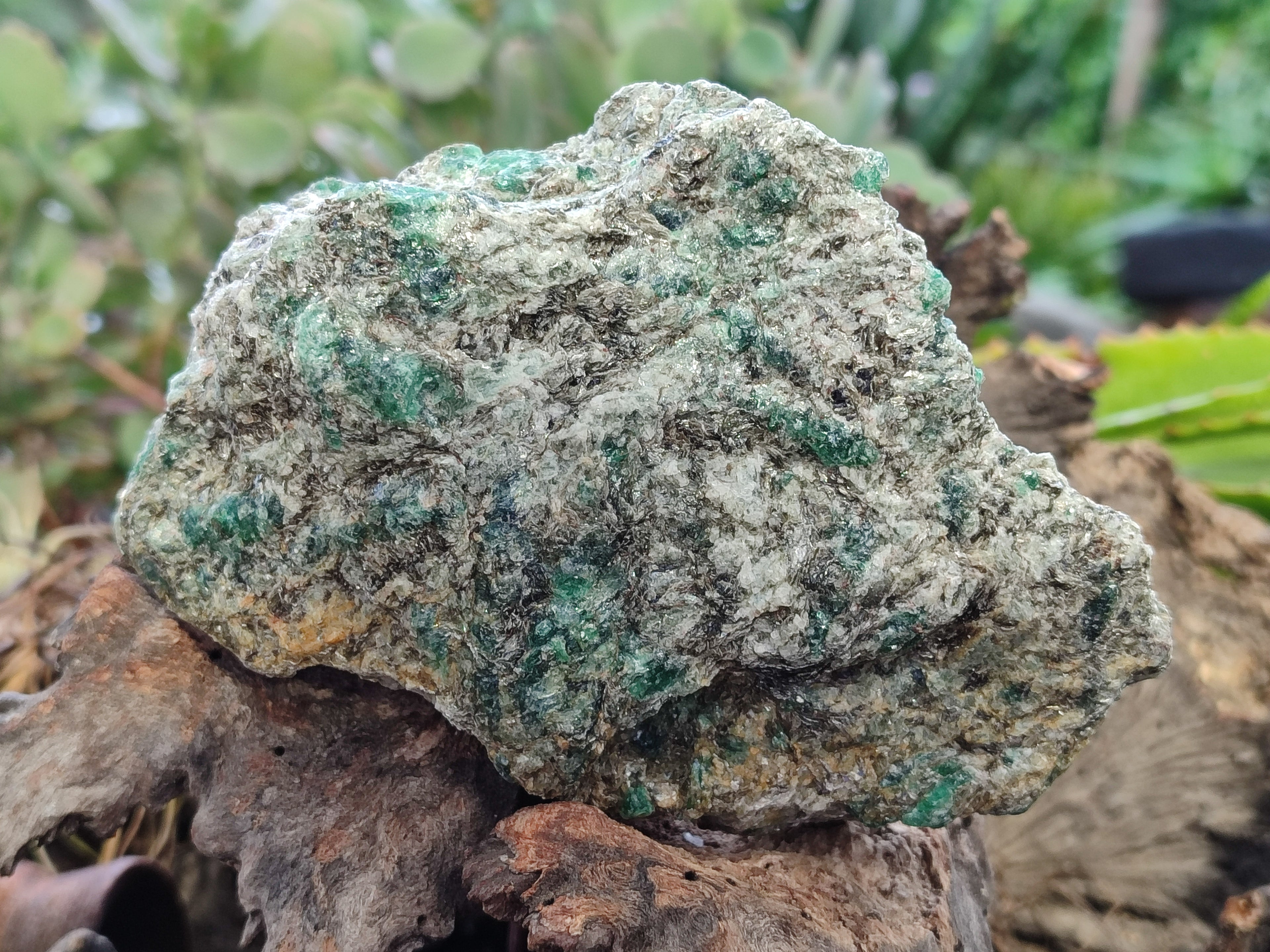 Natural Emerald Mica In Matrix Cobbed Specimens x 5 From Mutoko, Zimbabwe - Toprock Gemstones and Minerals 
