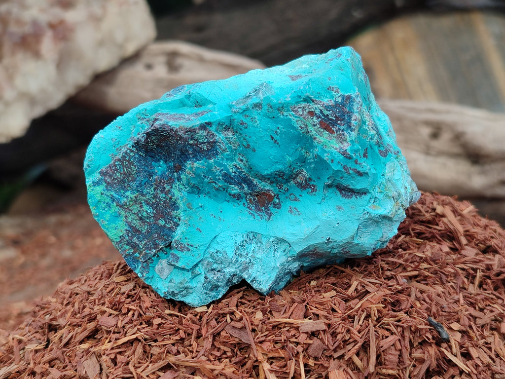 Natural Shattuckite with Chrysocolla and Malachite Cutting Material x 12 From Namibia - Toprock Gemstones and Minerals 