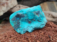 Natural Shattuckite with Chrysocolla and Malachite Cutting Material x 12 From Namibia