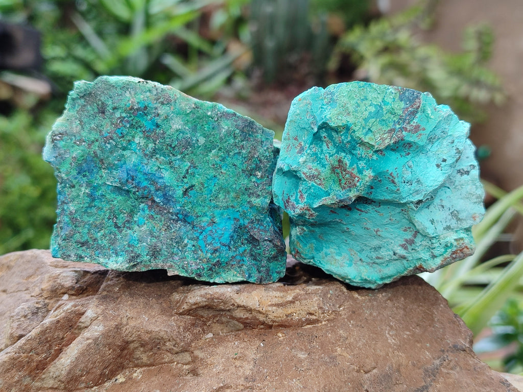 Natural Shattuckite with Chrysocolla and Malachite Cutting Material x 12 From Namibia - Toprock Gemstones and Minerals 