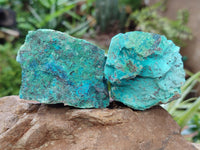 Natural Shattuckite with Chrysocolla and Malachite Cutting Material x 12 From Namibia