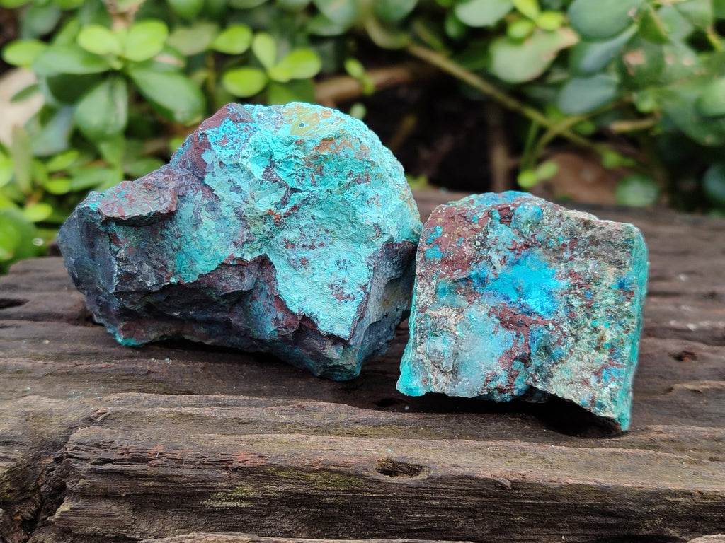 Natural Shattuckite with Chrysocolla and Malachite Cutting Material x 12 From Namibia - Toprock Gemstones and Minerals 