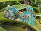 Natural Shattuckite with Chrysocolla and Malachite Cutting Material x 12 From Namibia - Toprock Gemstones and Minerals 