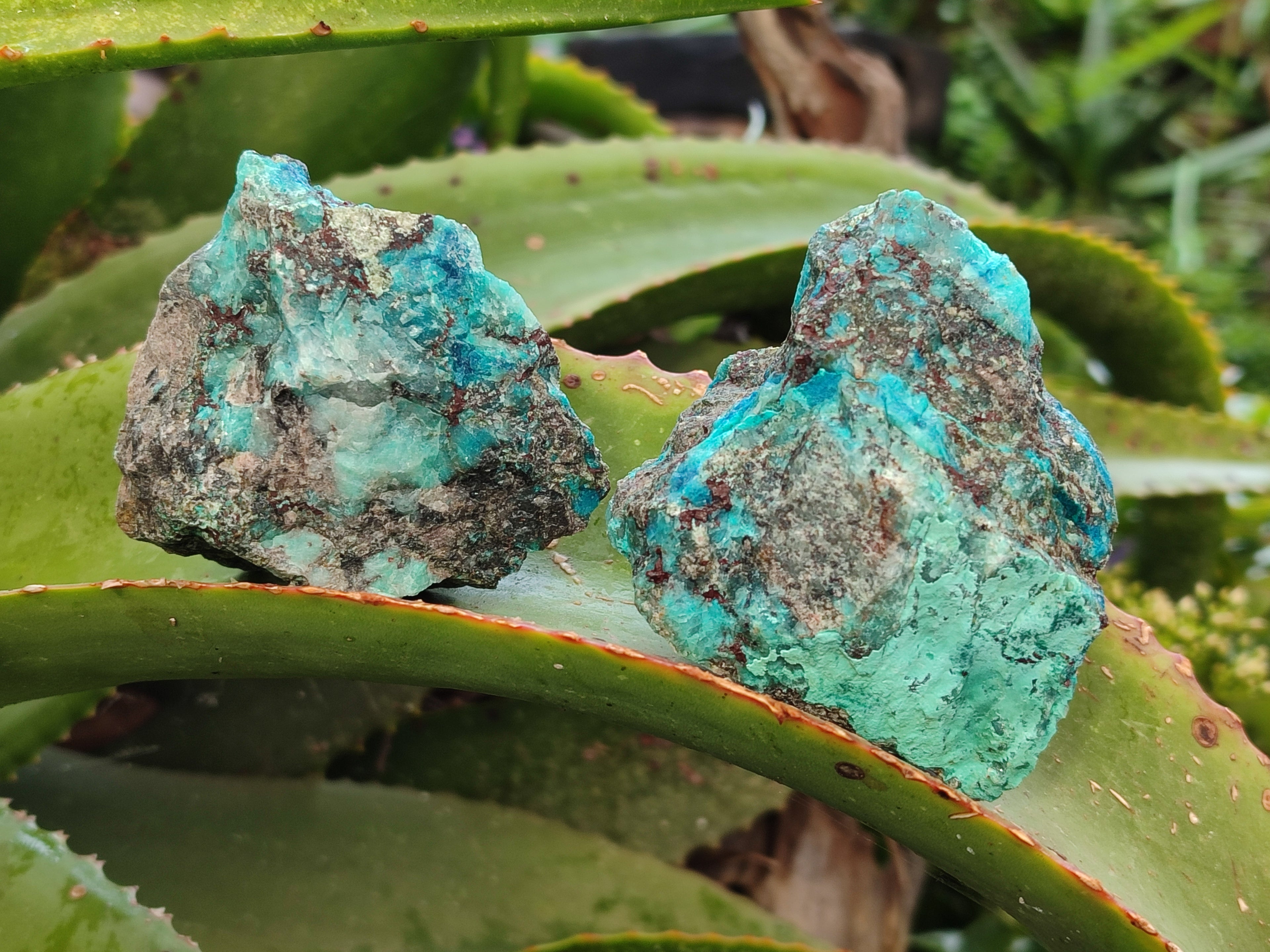 Natural Shattuckite with Chrysocolla and Malachite Cutting Material x 12 From Namibia - Toprock Gemstones and Minerals 