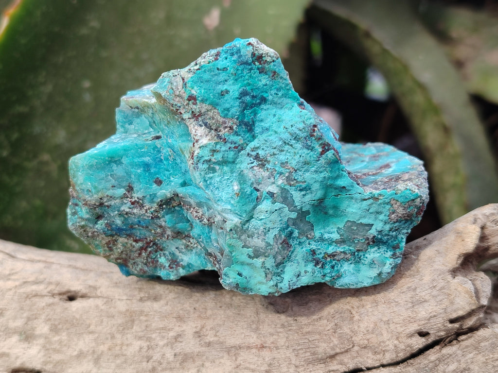 Natural Shattuckite with Chrysocolla and Malachite Cutting Material x 12 From Namibia - Toprock Gemstones and Minerals 