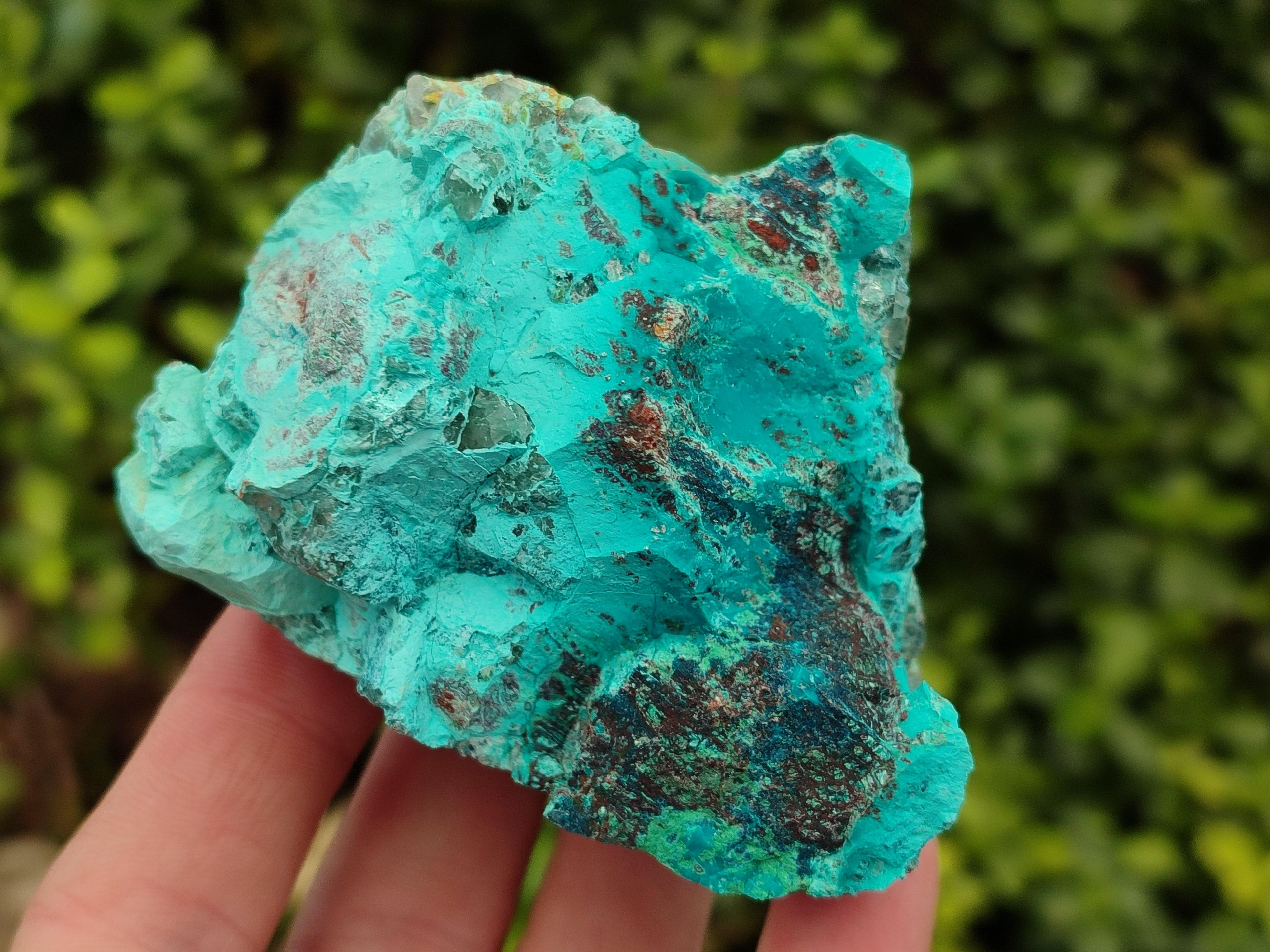 Natural Shattuckite with Chrysocolla and Malachite Cutting Material x 12 From Namibia - Toprock Gemstones and Minerals 