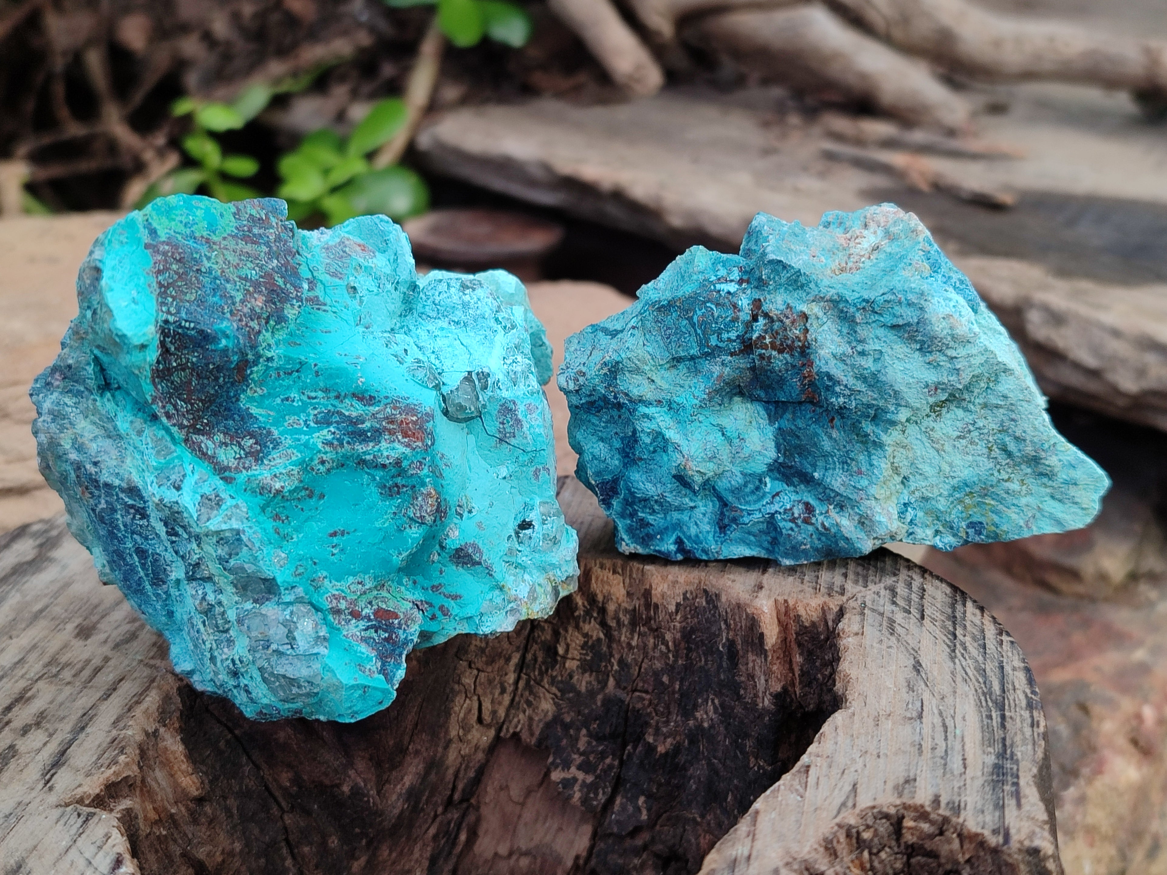 Natural Shattuckite with Chrysocolla and Malachite Cutting Material x 12 From Namibia - Toprock Gemstones and Minerals 