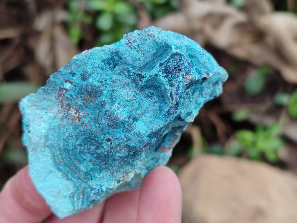 Natural Shattuckite with Chrysocolla and Malachite Cutting Material x 12 From Namibia - Toprock Gemstones and Minerals 