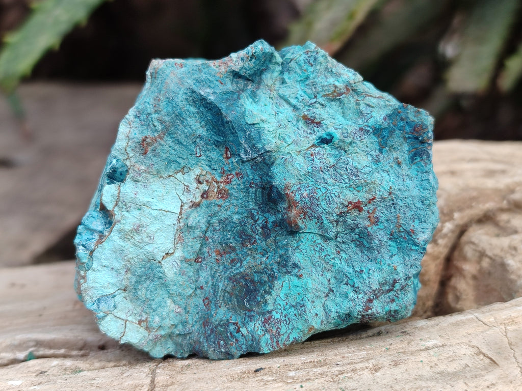 Natural Shattuckite with Chrysocolla and Malachite Cutting Material x 12 From Namibia - Toprock Gemstones and Minerals 