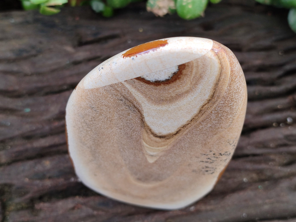 Polished Picture Stone Jasper Standing Free Forms x 3 From Ais-Ais, Namibia - Toprock Gemstones and Minerals 