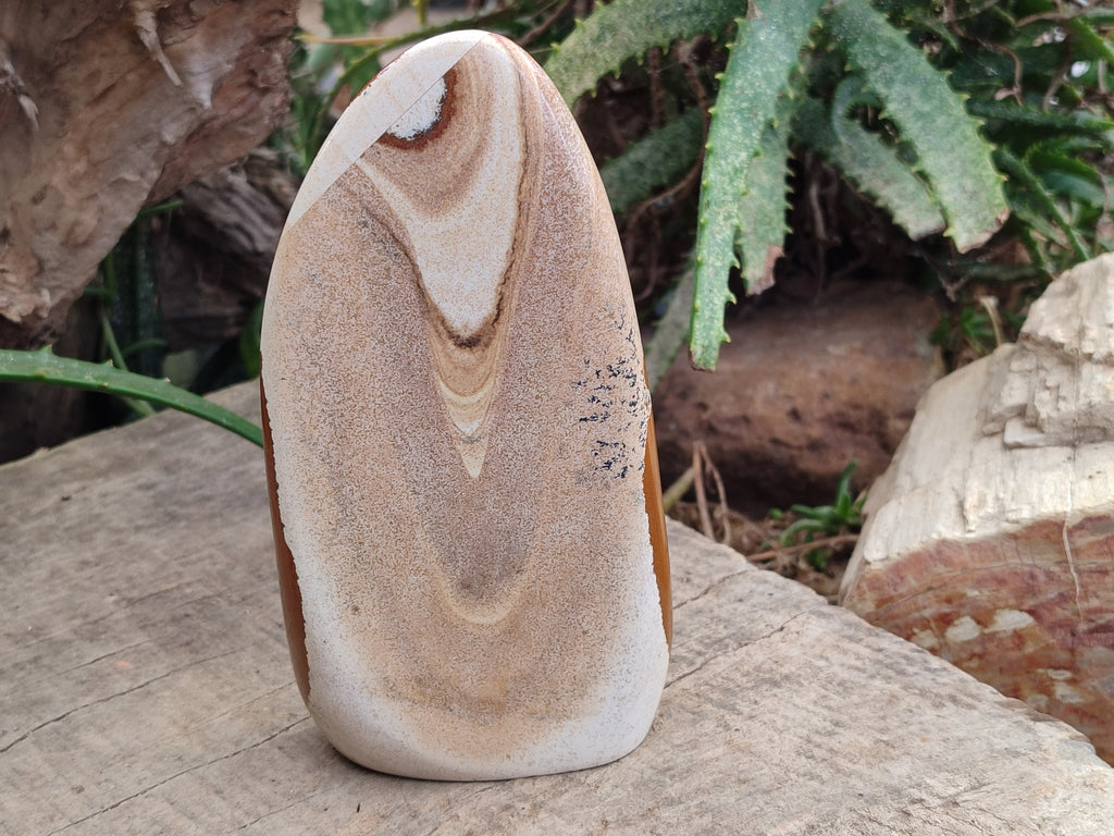 Polished Picture Stone Jasper Standing Free Forms x 3 From Ais-Ais, Namibia - Toprock Gemstones and Minerals 