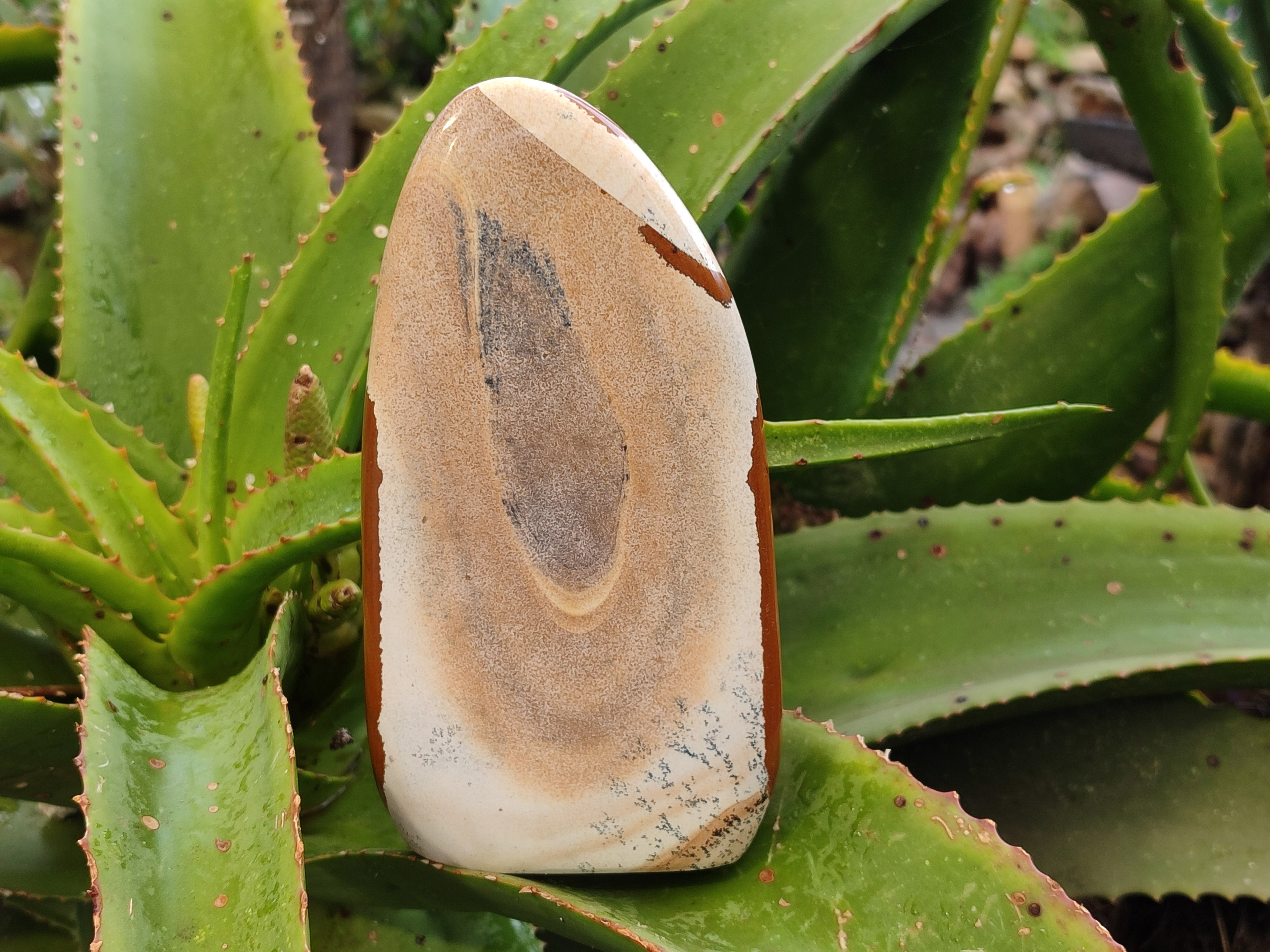 Polished Picture Stone Jasper Standing Free Forms x 3 From Ais-Ais, Namibia - Toprock Gemstones and Minerals 