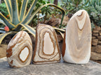 Polished Picture Stone Jasper Standing Free Forms x 3 From Ais-Ais, Namibia - Toprock Gemstones and Minerals 