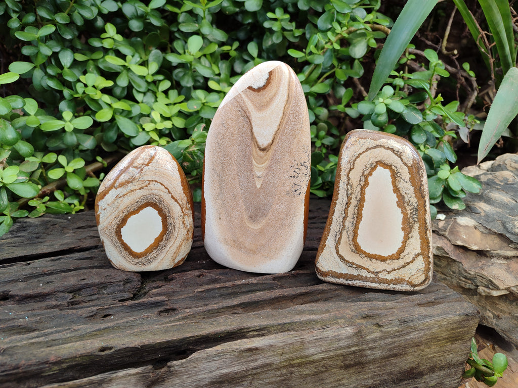 Polished Picture Stone Jasper Standing Free Forms x 3 From Ais-Ais, Namibia - Toprock Gemstones and Minerals 