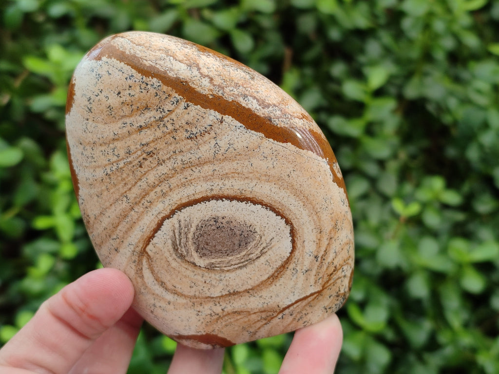 Polished Picture Stone Jasper Standing Free Forms x 3 From Ais-Ais, Namibia - Toprock Gemstones and Minerals 