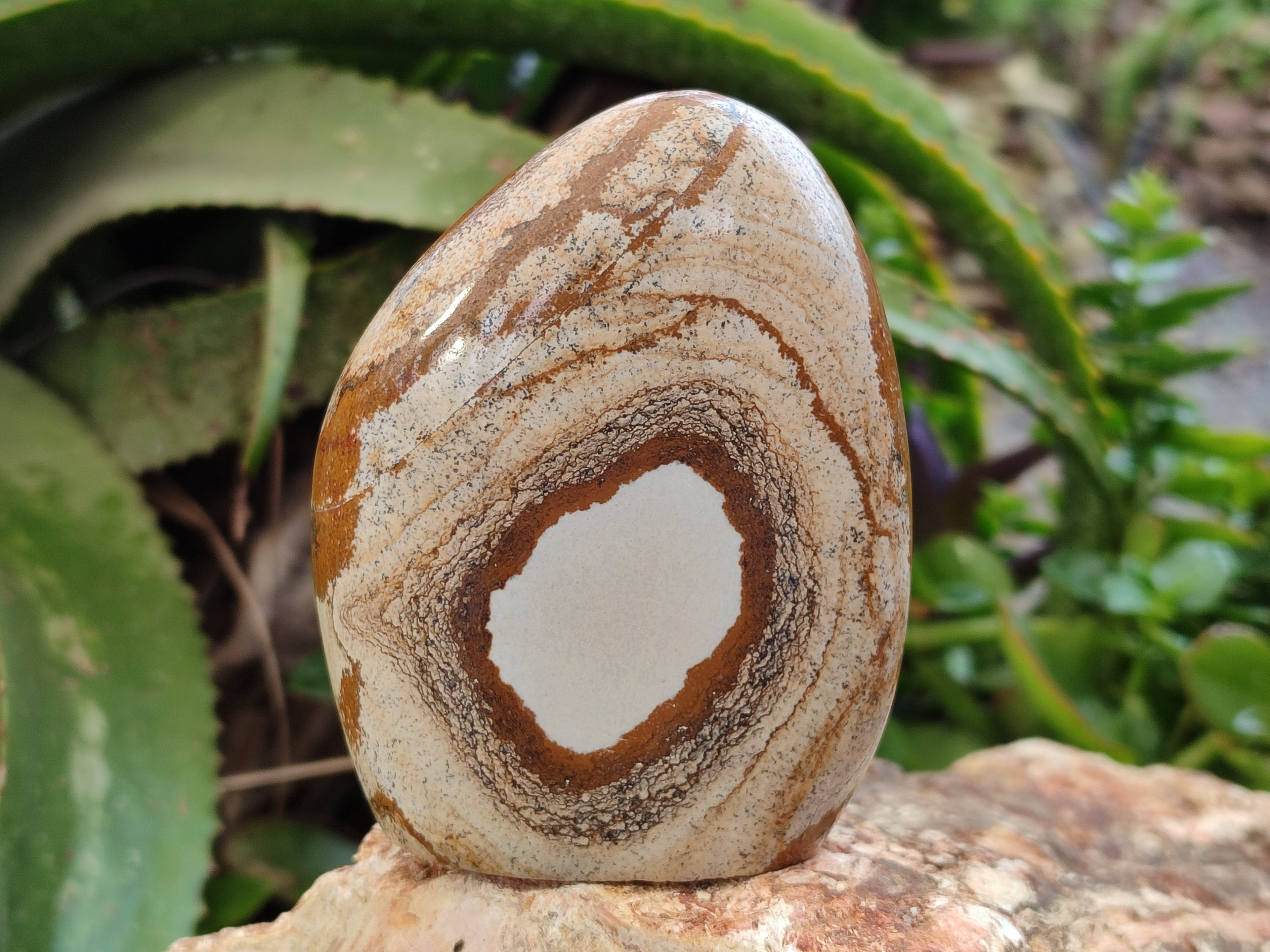 Polished Picture Stone Jasper Standing Free Forms x 3 From Ais-Ais, Namibia - Toprock Gemstones and Minerals 