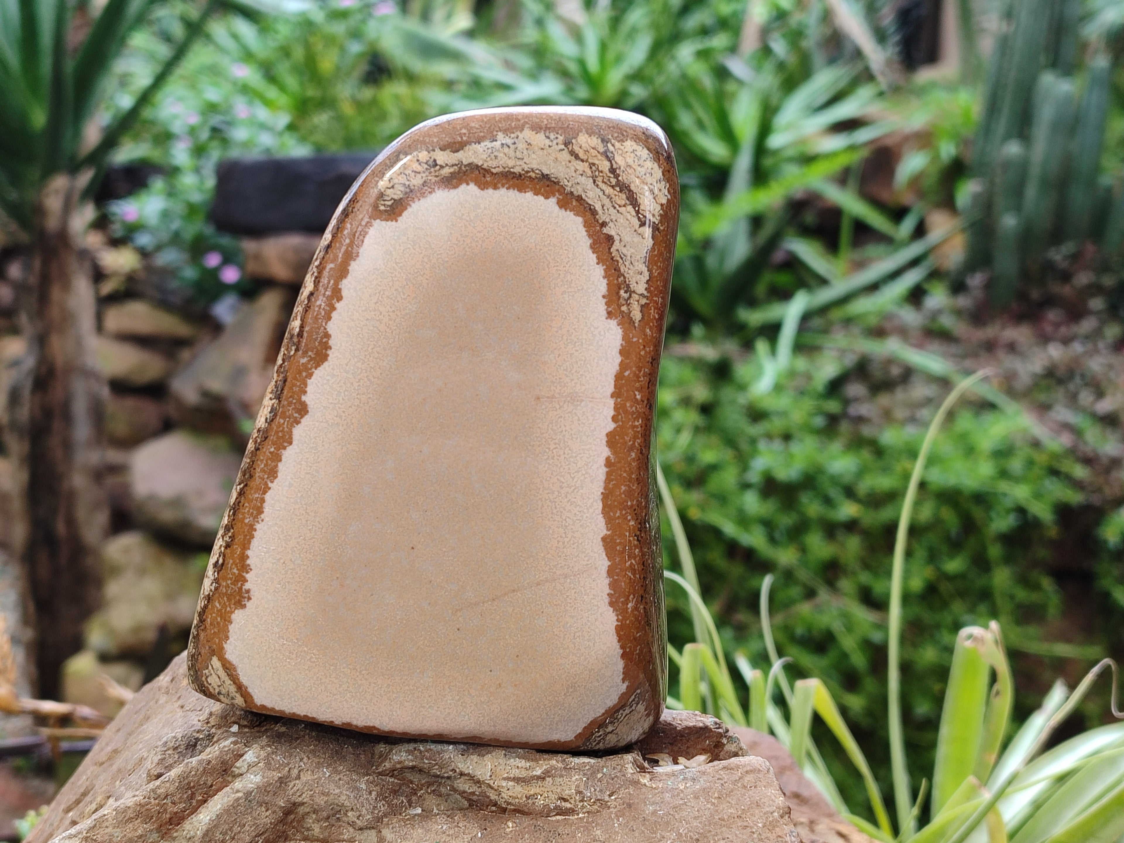 Polished Picture Stone Jasper Standing Free Forms x 3 From Ais-Ais, Namibia - Toprock Gemstones and Minerals 