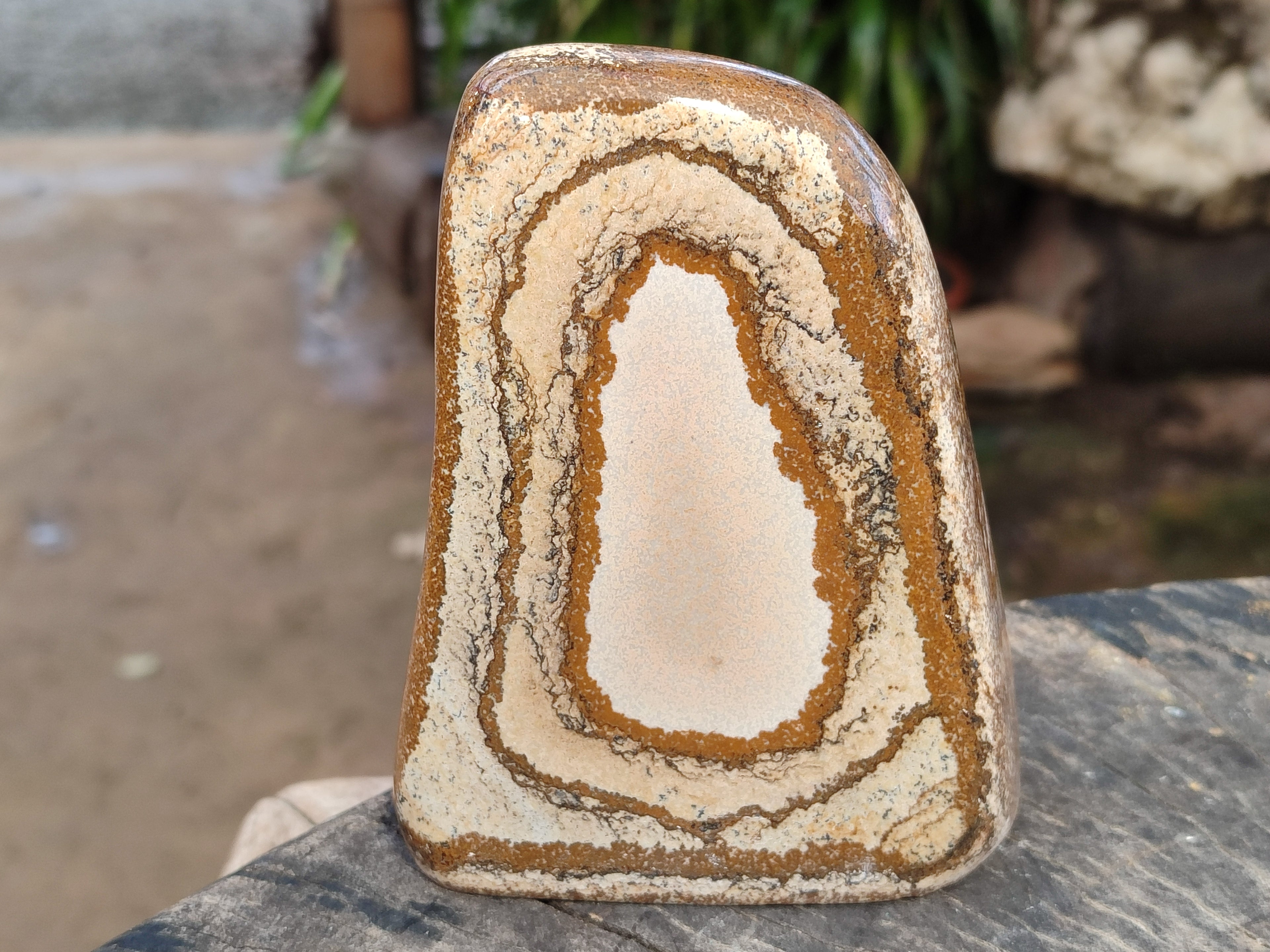 Polished Picture Stone Jasper Standing Free Forms x 3 From Ais-Ais, Namibia - Toprock Gemstones and Minerals 